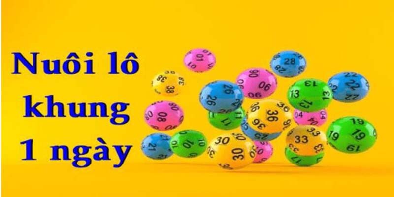 Cách Nuôi Lô Khung 1 Ngày